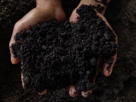 High-Quality Compost Production In Patumbak - Indonesia