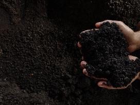 High-Quality Compost Production In Patumbak - Indonesia