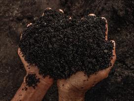 High-Quality Compost Production In Patumbak - Indonesia