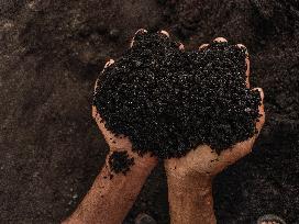 High-Quality Compost Production In Patumbak - Indonesia