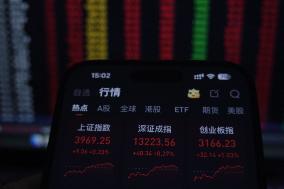 Daily Stock Index in China