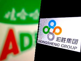 Illustration Hongsheng Group