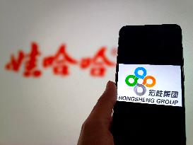 Illustration Hongsheng Group