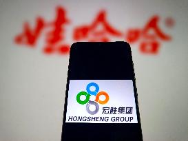 Illustration Hongsheng Group