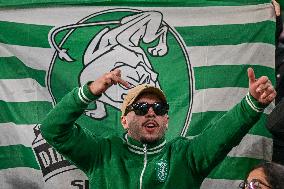 CALCIO - UEFA Champions League - Juventus FC vs Sporting CP