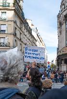 Illustration - Shein in BHV Paris