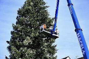 Strasbourg Is Preparing for The Festive Season - France