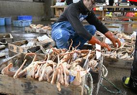 Snow crab fishing season in Japan