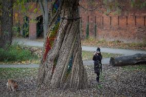 Willow Temple - Warsaw
