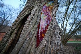 Willow Temple - Warsaw
