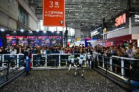 China International Import Expo - Shanghai
