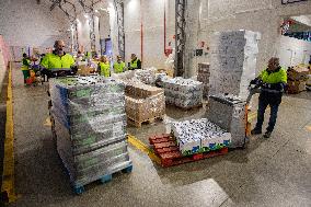 Great Food Drive 2025 - Madrid