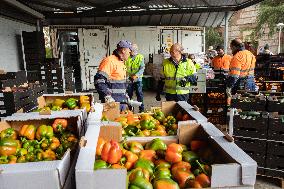 Great Food Drive 2025 - Madrid