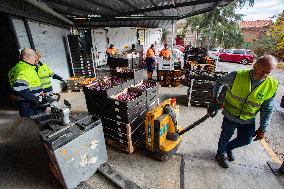 Great Food Drive 2025 - Madrid