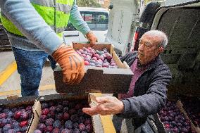 Great Food Drive 2025 - Madrid