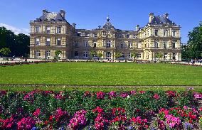 Illustration - Senat - Paris