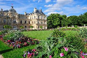 Illustration - Senat - Paris