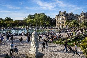 Illustration - Senat - Paris
