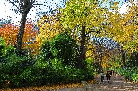 Illustration - Senat - Paris