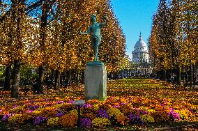 Illustration - Senat - Paris