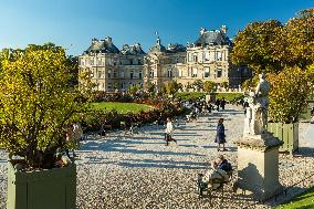 Illustration - Senat - Paris