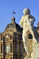 Illustration - Senat - Paris