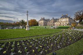 Illustration - Senat - Paris