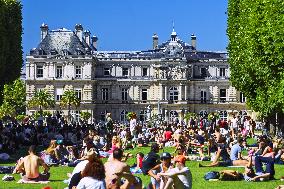 Illustration - Senat - Paris