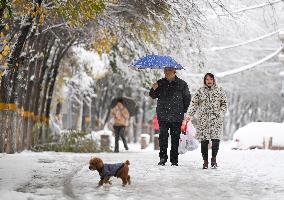 A Blizzard Has Swept Across the Xinjiang Uyghur Autonomous Region - China