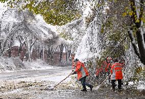 A Blizzard Has Swept Across the Xinjiang Uyghur Autonomous Region - China