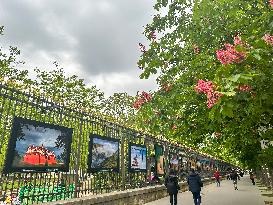 Illustration - Senat - Paris