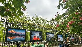 Illustration - Senat - Paris