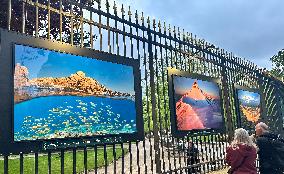 Illustration - Senat - Paris