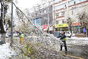 A Blizzard Has Swept Across the Xinjiang Uyghur Autonomous Region - China