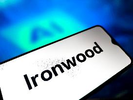 Illustration Google Ironwood