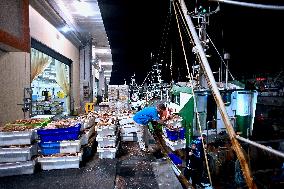 Return From Scallop Fishing - Port-En-Bessin. FC