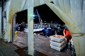 Return From Scallop Fishing - Port-En-Bessin. FC