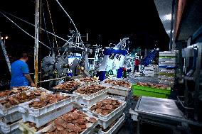 Return From Scallop Fishing - Port-En-Bessin. FC
