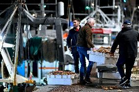 Return From Scallop Fishing - Port-En-Bessin. FC