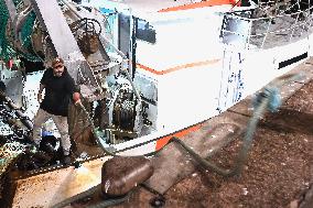 Return From Scallop Fishing - Port-En-Bessin. FC