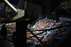 Return From Scallop Fishing - Port-En-Bessin. FC