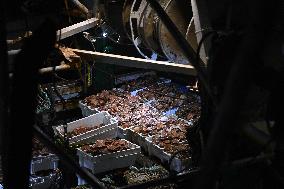 Return From Scallop Fishing - Port-En-Bessin. FC