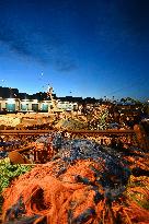 Return From Scallop Fishing - Port-En-Bessin. FC