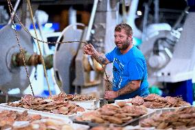 Return From Scallop Fishing - Port-En-Bessin. FC