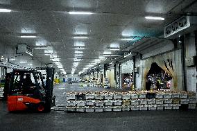 Return From Scallop Fishing - Port-En-Bessin. FC