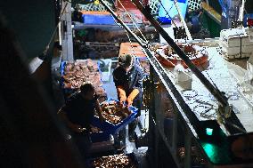 Return From Scallop Fishing - Port-En-Bessin. FC