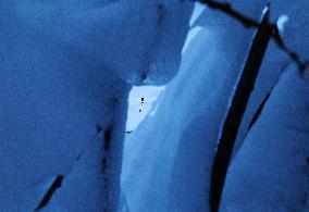 Training Session of Freestyle Skiing Aerials - China