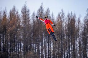 Training Session of Freestyle Skiing Aerials - China