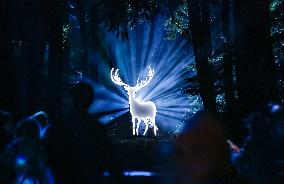 Harry Potter - A Forbidden Forest Experience - Vancouver