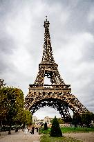 Eiffel Tower Illustrations - Paris